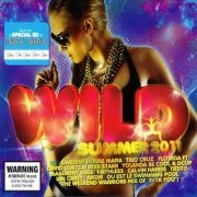 VA - Wild Summer 2011 (2010)