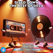 VA - Disco Down The Best of 2024 (2025)