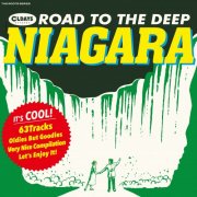 Various Artists - The Roots Series - Road to the Deep Niagara (2017)