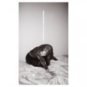 Julia Holter - Materia (2026) [Hi-Res]