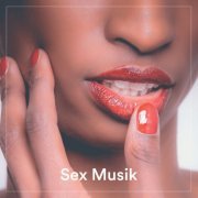 VA - Sex Musik (2022)