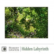 Robert Davies - Hidden Labyrinth (2020)