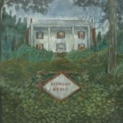 Weirs - Diamond Grove (2025)