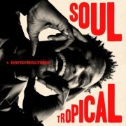 David Walters - Soul Tropical (2023) [Hi-Res]