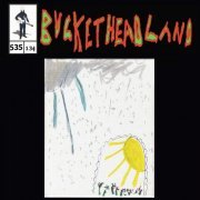 Buckethead - Storm and Stillness (Pike 535) (2023)