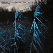 Stefano Pilia - Cantor Park (2023) [Hi-Res]