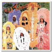 The Wild Tchoupitoulas - The Wild Tchoupitoulas (1976/2016) [Hi-Res]