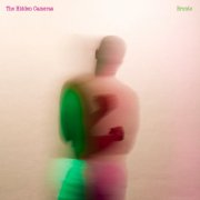 The Hidden Cameras - BRONTO (2025) [Hi-Res]