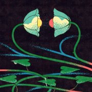 Lane 8 - Cross Pollination II (2026)