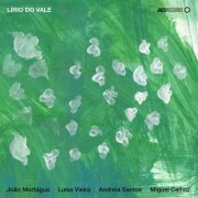 Lírio do Vale - João Mortágua "Lírio do Vale" (2026) Hi-Res