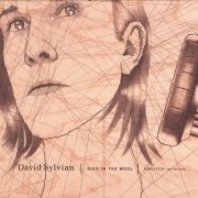 David Sylvian - Died In The Wool (2011)