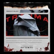 Regnum Black - Trauma (2024)