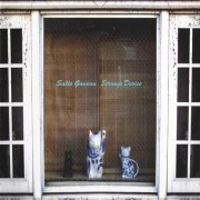 Salle Gaveau - Strange Device (2008)