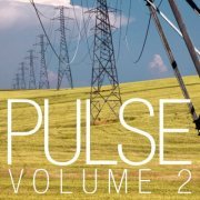 VA - Pulse, Vol. 2 (2013) [.flac 24bit/44.1kHz]