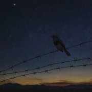 Salim Nourallah - Close as a Star (2026) [Hi-Res]
