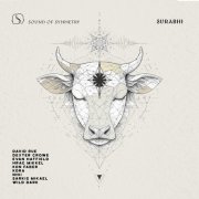 VA - Surabhi (2026)