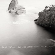 Contemporaneous & David Bloom - Dylan Mattingly: The Wild Heart (Complete) (2026) [Hi-Res]