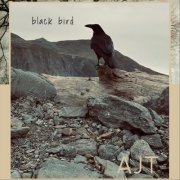 Alex Jenkins Trio - Black Bird (2024)