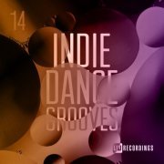 VA - Indie Dance Grooves, Vol. 14 (2023)