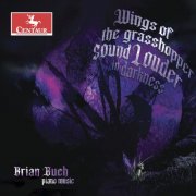 Brian Buch - Wings of the Grasshopper Sound Louder in Darkness (2026) [Hi-Res]