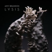 Amy Brandon - Amy Brandon: Lysis (2024) [Hi-Res]