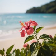 Nature Bloom & Lofi Calm - Summer Diaries (2025)