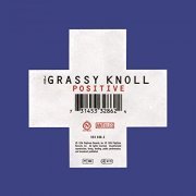 The Grassy Knoll - Positive (1996)