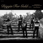 VA - Diggin' For Gold vol 12 (2021)