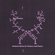 New Frames - Bloom. Ambient Music for Flowers and Plants (2026)