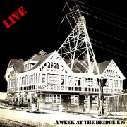 VA - Live: A Week At The Bridge E16 (Live) (2025) Hi Res