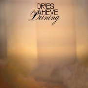 Dries Laheye - Deining (2023) [Hi-Res]