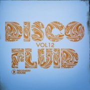 VA - Disco Fluid, Vol 12 (2024)