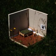 Dust Cup Release - A Mostly Empty Room (2026) Hi-Res