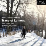 Audun Sandvik - Trace of Lament (2022) [Hi-Res]