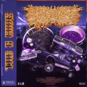 PeelingFlesh - The G Code (2024) Hi-Res