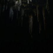 Nino Arbol - Cuyo (2026)