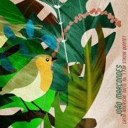 João Marcondes, Quarteto Topázio & Gabriela Negri - Latin American Suite No. 1 for String Quintet (2026) Hi-Res