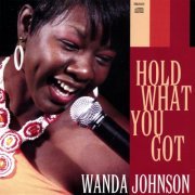 Wanda Johnson - Hold What You Got (2008)