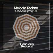 VA - Melodic Techno Grooves Spring '21 (2021) FLAC