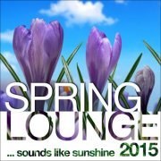 Spring Lounge 2015 (Sounds Like Sunshine) (2015)