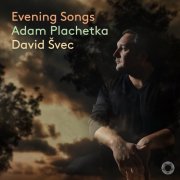 Adam Plachetka, David Švec - Evening Songs (2024) [Hi-Res]