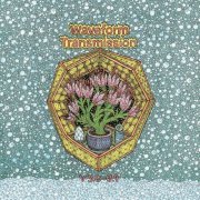 Waveform Transmission - V 3​.​0​-​3​.​9 (2020)