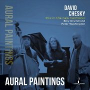 David Chesky, Trio in the New Harmonic - Aural Paintings (2018) [Hi-Res]