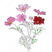 E Ruscha V - Music to Watch Seeds Grow By 004: E Ruscha V (Cosmos) (2025) [Hi-Res]