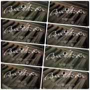 Martin Roscoe - Beethoven Piano Sonatas, Vol. 1-8 (2010-2020)