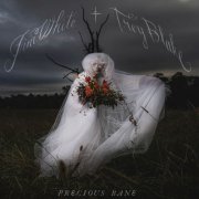 Jim White & Trey Blake - Precious Bane (2025)