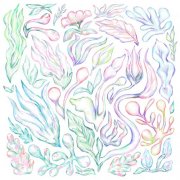 VA - Plants Can Dance: Curated by Auntie Flo (2026)