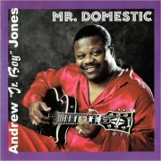 Andrew 'Jr. Boy' Jones - Mr. Domestic (2002) [CD Rip]