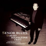 David Hazeltine Trio - Senor Blues (2000/2015) flac