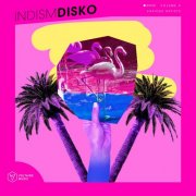 VA - Indism Disko Vol. 6 (2025)
